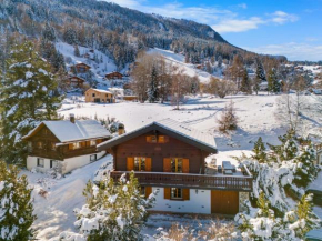 Gisele - 8 pers - pres des pistes